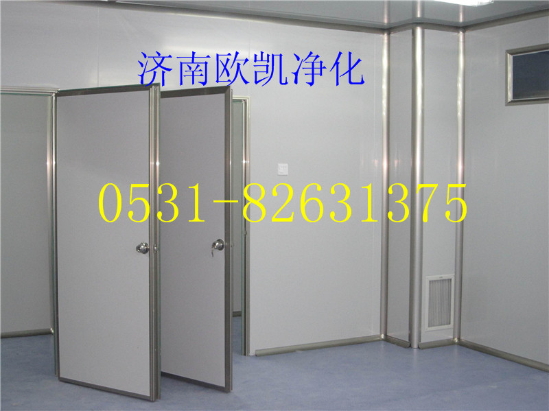 济南欧凯净化供应济南淄博潍坊临沂无菌净化车间